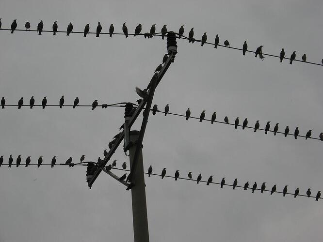 obciążenie linii 1.JPG