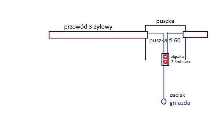 czenie w puszce.jpg