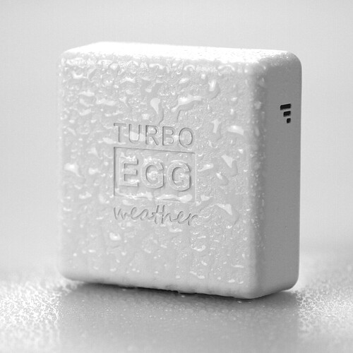 Stacja Pogodowa TurboEgg (5).jpg